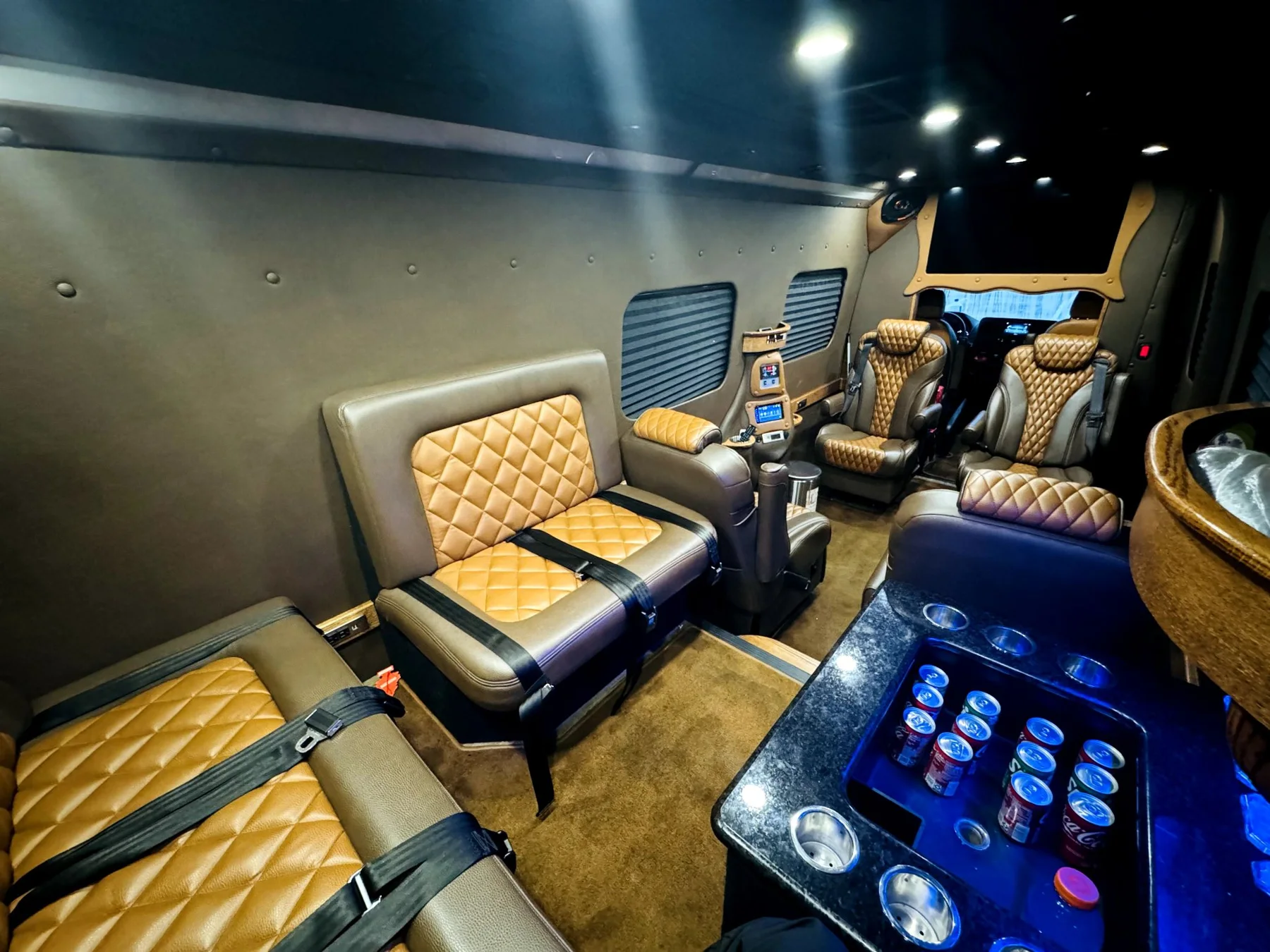 Rex Celeris executive sprinter interior